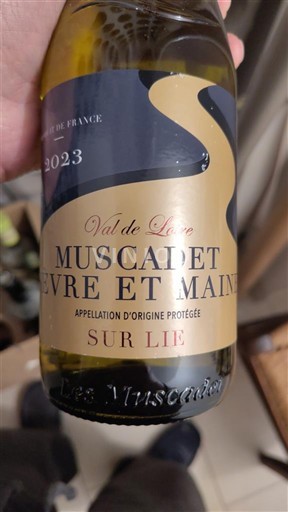 Vale do Loire Muscadet-sèvre-et-maine Sur Lie 2023