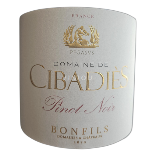 Languedoc and Roussillon Unspecified Domaine de Cibadiès 2023