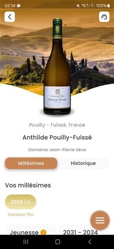 Borgogna Pouilly-fuissé Jeanpierre Sève Anthilde 2023