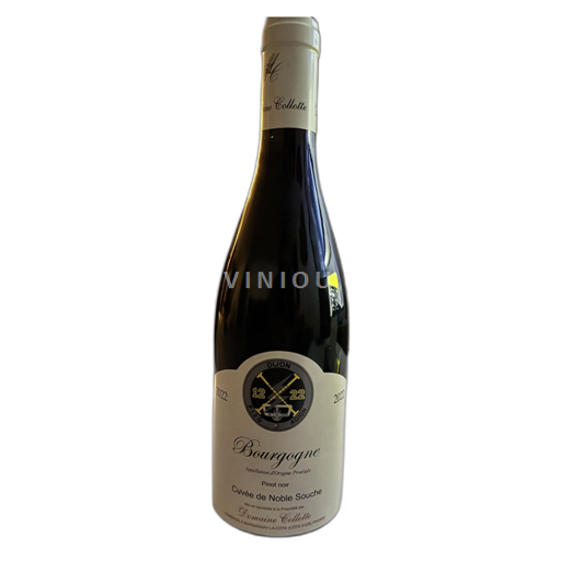 Borgogna Marsannay Domaine Colotte 2022