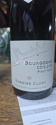Bourgogne Bourgogne Côte d'Or Domaine Cluny 2020