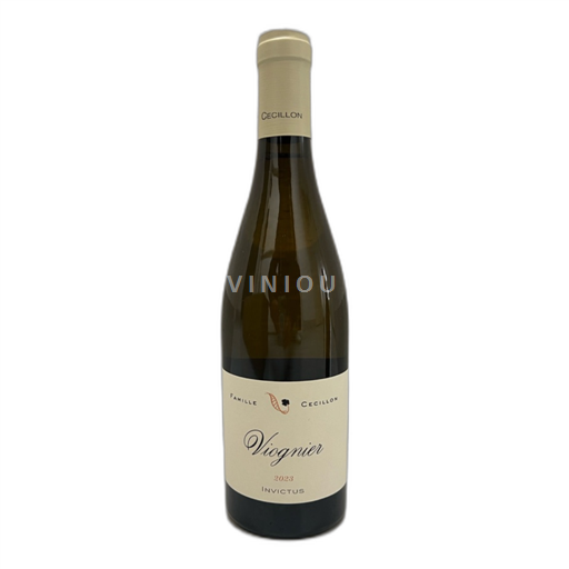Rhônedalen Julien Cécillon invictus 2023