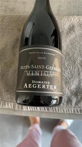 Borgogna Nuits-Saint-Georges Aegerter Les Plateaux 2022
