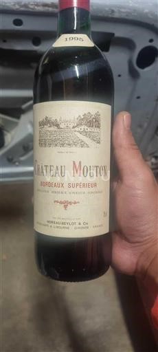 Bordeaux Bordeaux supérieur Château Mouton 1995