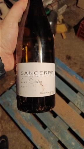 Loire-dalen Sancerre Domaine Riffault Les Côtes 2022