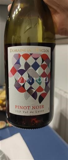 Dolina Loare Domaine L'enclos Neleten.