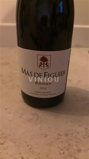 Linguadoca Mas De Figuier Roman 2024