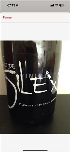 Loirevallei Coteaux-du-giennois AOP / AOC Clement Et Floriant Berthier Terre De Silex 2013