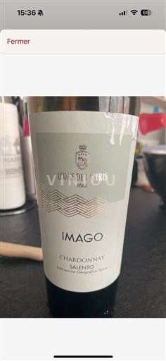 Kampánie Cilento (blank) Leone De Castris Imago 2022