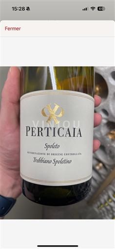 Vin Blanc Spoleto Perticaia Non millésimé Italie Ombrie Montefalco DOC (blank)