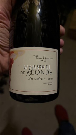 Thung lũng Rhône Côte-rôtie Pierre Gaillard Esprit de Blonde 2022