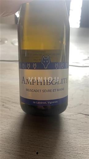 Loire Valley Muscadet Sèvre et Maine Jo Landron Amphibolite 2023