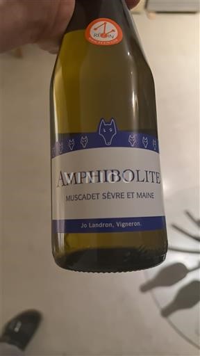 Loiren laakso Muscadet-sèvre-et-maine Jo Landron Amphibolite 2023