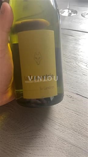 Loire Valley Muscadet Sèvre et Maine Jo Landron La Louvetrie 2022