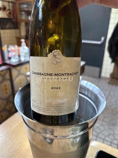 Bourgogne Chassagne-Montrachet Domaine Lamypillot 2022