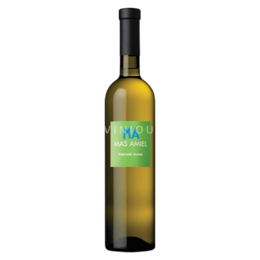 Languedoc and Roussillon Côtes Catalanes Mas Amiel Vintage Blanc 2022