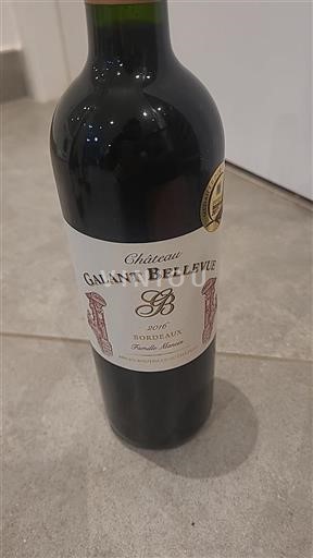 Bordeaux Ni doloceno Galant Bellevue Famille Mancin 2016