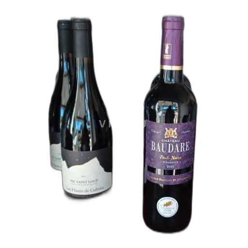 Sudoeste Fronton Château Baudare 2022