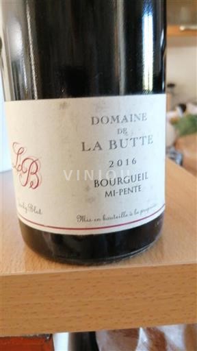 Loiren laakso Bourgueil Domaine La Butte Mi-Pente 2016