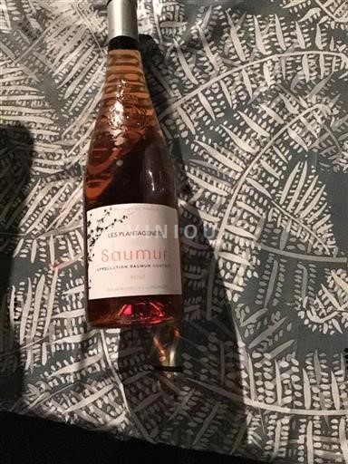 Loire Valley Saumur Les Plantagenêts 2017