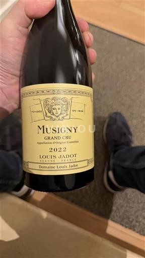 Burgund Musigny Grand Cru Domaine Louis Jadot 2022