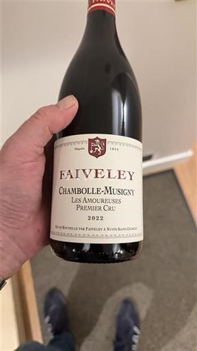 Borgoña Chambolle-Musigny Premier Cru Domaine Faiveley Les Amoureuses 2022
