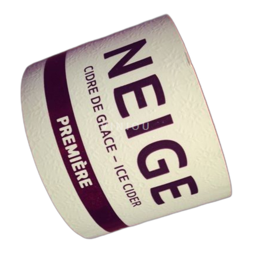 Québec Montérégie Neige 2009