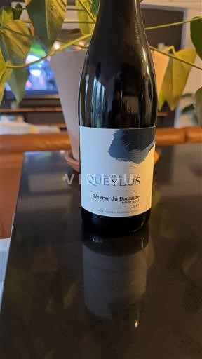 Ontario Niagarska polotok. Domaine Queylus Réserve du Domaine 2017