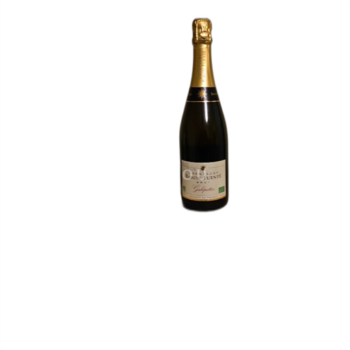 Champaña Champán Baronfuenté Galipettes Sin añada