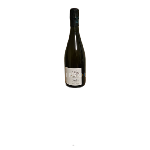 Champagne Thierry Massin Blanc Vrai La Chevetrée Senza annata