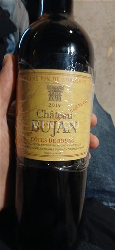 Bordeaux Côtes-de-bourg Château Bujan 2019