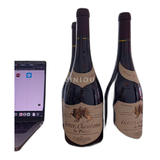 Burgundsko Gevrey-Chambertin Philippe Leclerc les Platières 2017