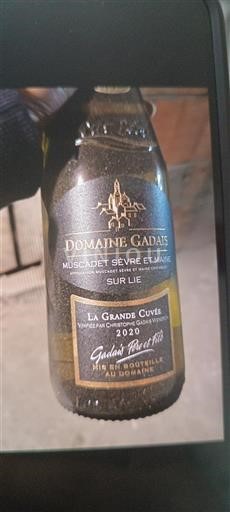 Loiredalen Muscadet-Sèvre-et-Maine Domaine Gadais La Grande 2020