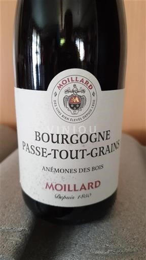 Burgundsko Bourgogne-passetoutgrain Domaine Moillard Anémones des Bois 2023