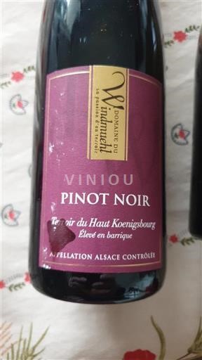 Alsace Domaine Windmuehl Ei vuosikertaa