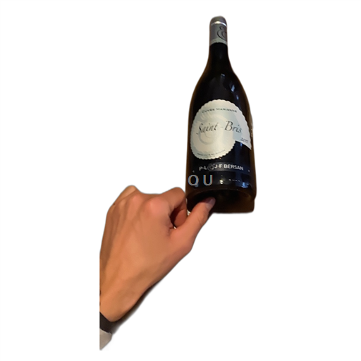 Borgogna Saint-Bris Domaine P. L. Bersan Marianne 2015