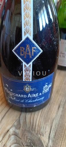Bourgogne Crémant de Bourgogne Bouchard Aîné & Fils Ikke årgangsbestemt