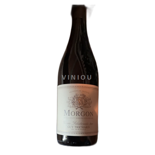Beaujolais Morgon Guy Trichard Sélectionnée par Morgon Ei vuosikertaa