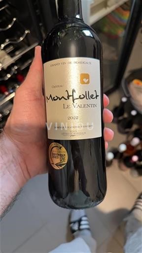 Bordeaux Blaye-côtes-de-bordeaux Château Montfollet Le Valentin 2022