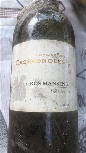 Sudoeste No especificado Domaine Des Cassagnoles Gros Manseng Sélection 2016
