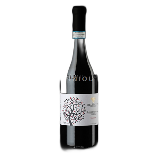 Piedmont Barbera d'Alba Belle Colle Barbera d’Alba Superiore DOC Le Masche 2020