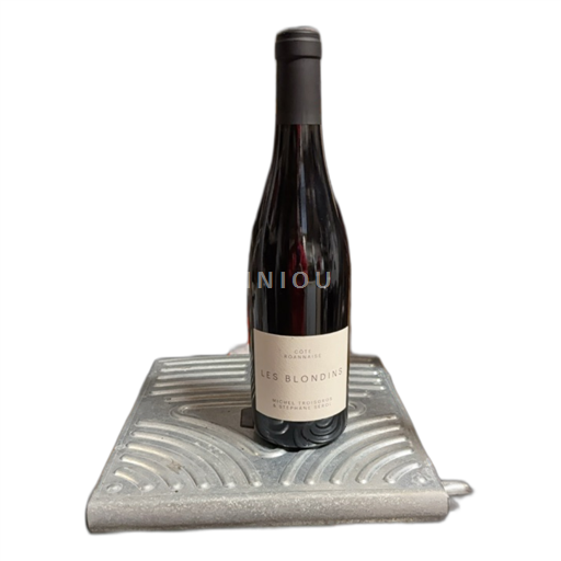 Rhône-dalen Michel Troisgros & Stéphane Sérol Les Blondins 2019