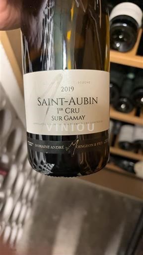 Bourgogne Saint-Aubin Premier Cru Domaine André Moingeon & Fils Sur Gamay 2019
