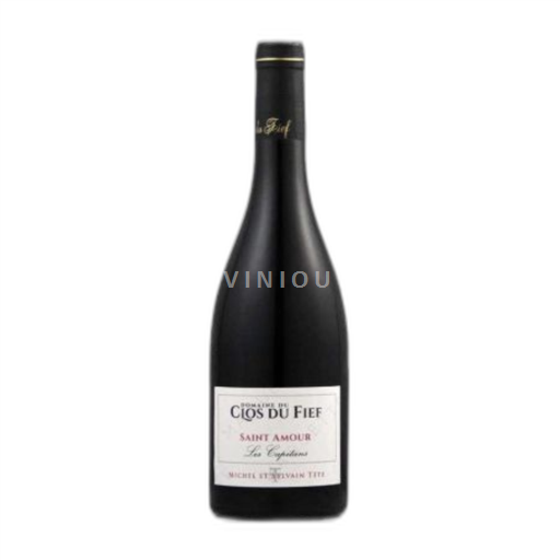 Vin Rouge sec Les Capitans Domaine Clos Du Fief (michel Tete) 2021 France Beaujolais Saint-Amour AOC
