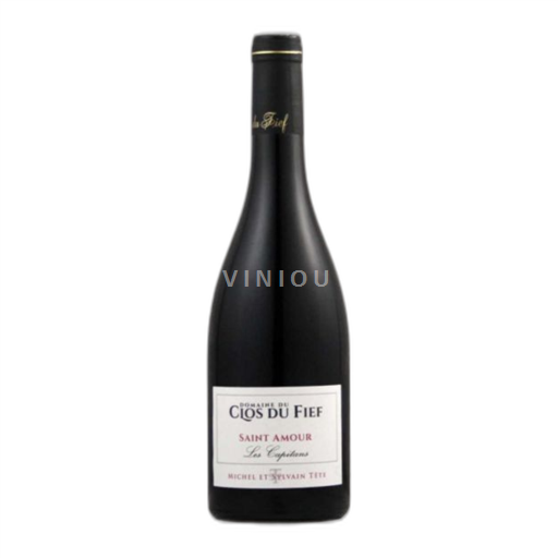 Beaujolais Saint-Amour Domaine Clos Du Fief (michel Tete) Les Capitans 2021