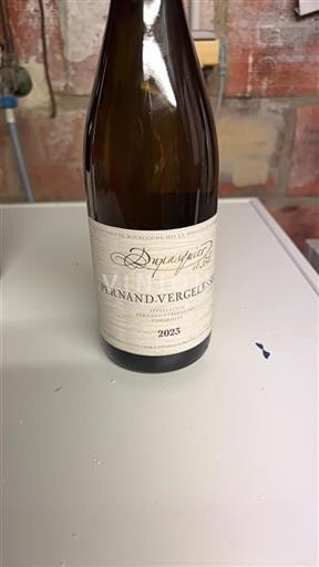 Borgonha Pernand-vergelesses Grand Cru Dupasquier Et Cie 2023