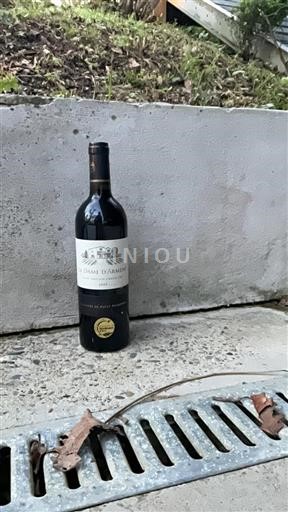 Bordeaux Saint-Émilion Grand Cru Grand Cru La Dame Armens 2009