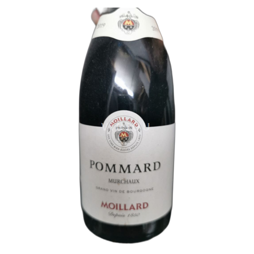 Borgonha Pommard Domaine Moillard Murchaux 2019