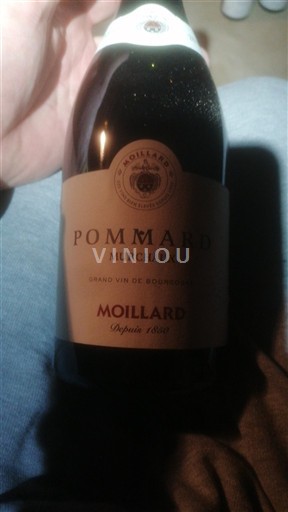 Borgoña Pommard Domaine Moillard Murchaux 2019
