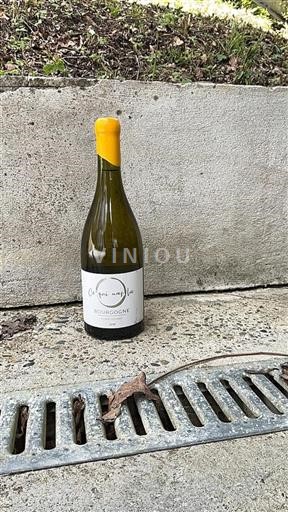 Bourgogne Ce Qui Nous Lie 2019